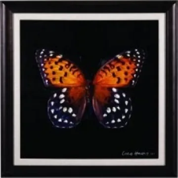 Butterfly Ii by Bassett Mirror Co.