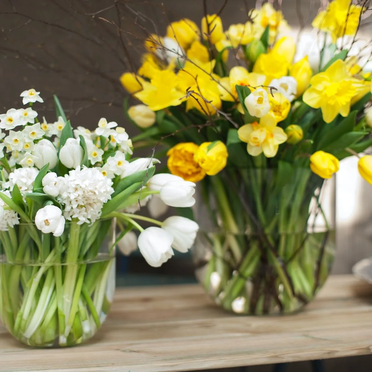 Waterlook Yellow and Cream Green Tulips by Distinctive Designs