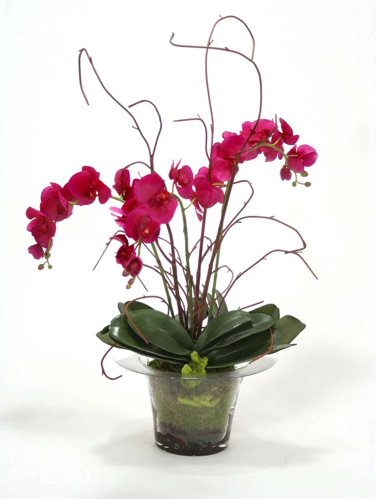 Faux Orchids by Distinctive Designs