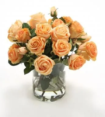 Peach Roses by Distinctive Designs
