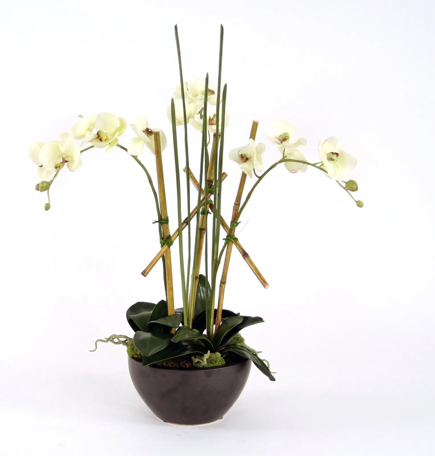 Silk Cream-Green Orchid Plants by Distinctive Designs